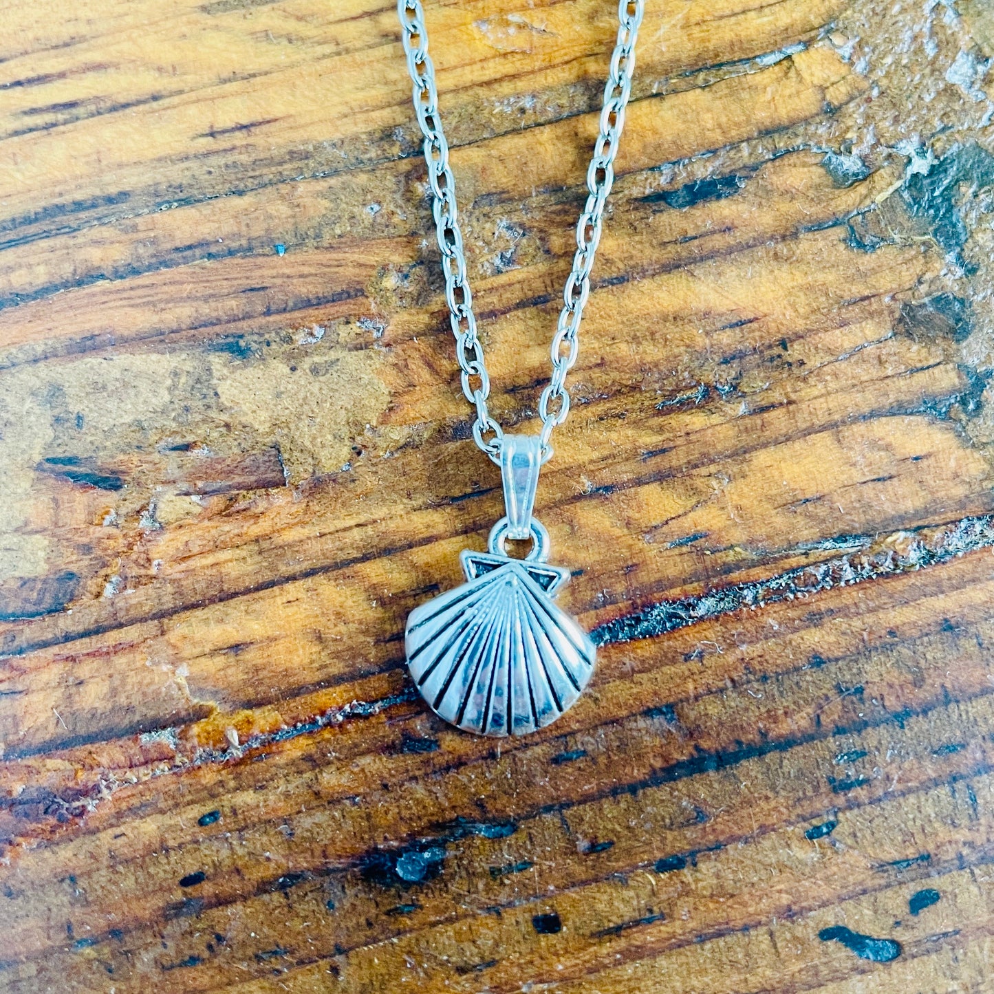 Seashell pendant necklace